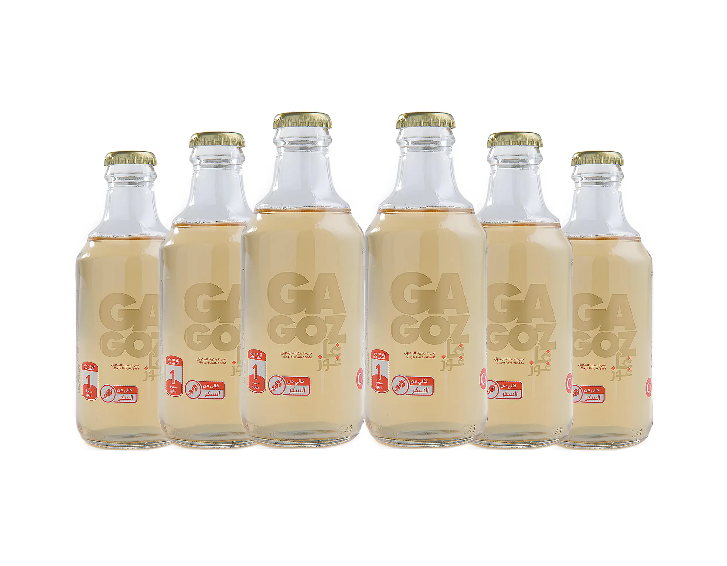 Gagoz Ginger Flavoured Carbonated Water